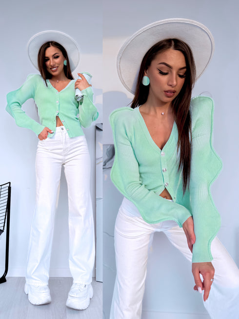 Megzta striukė "Blackcurrant PL-7760" - MĖTA