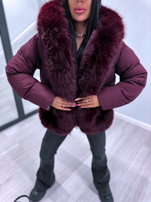 "FOREIGNER FC7639" striukė - BORDO