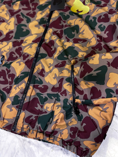 Money, raiba, brūnu toņu virsjaka (vecums: 15 g)