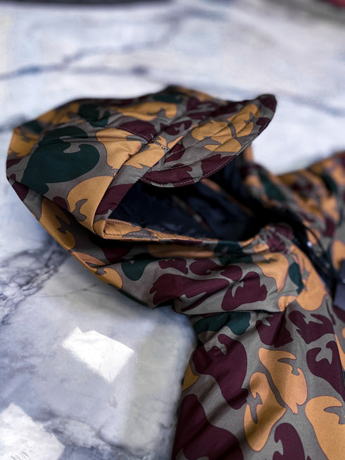 Money, raiba, brūnu toņu virsjaka (vecums: 15 g)