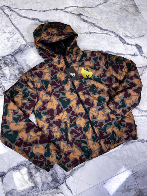 Money, raiba, brūnu toņu virsjaka (vecums: 15 g)