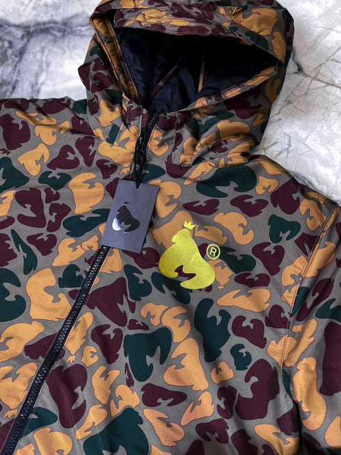 Money, raiba, brūnu toņu virsjaka (vecums: 15 g)